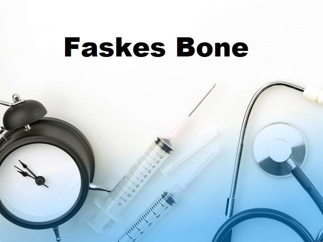 faskes bone